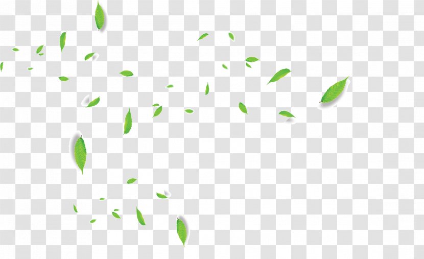 Clip Art Desktop Wallpaper Leaf Computer Plant Stem - Point - Entrada Bell Transparent PNG