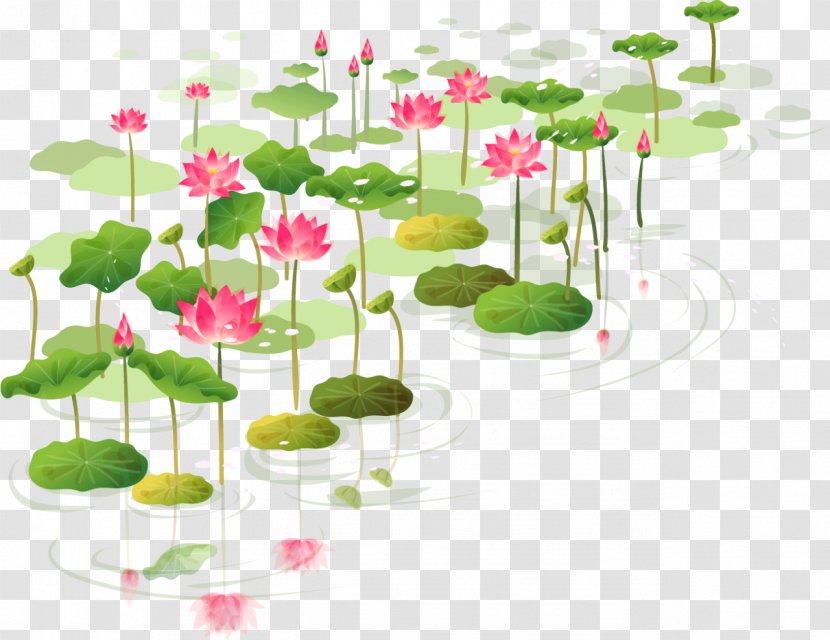 Sacred Lotus Water Lilies Clip Art Sticker Flower - Plant Transparent PNG