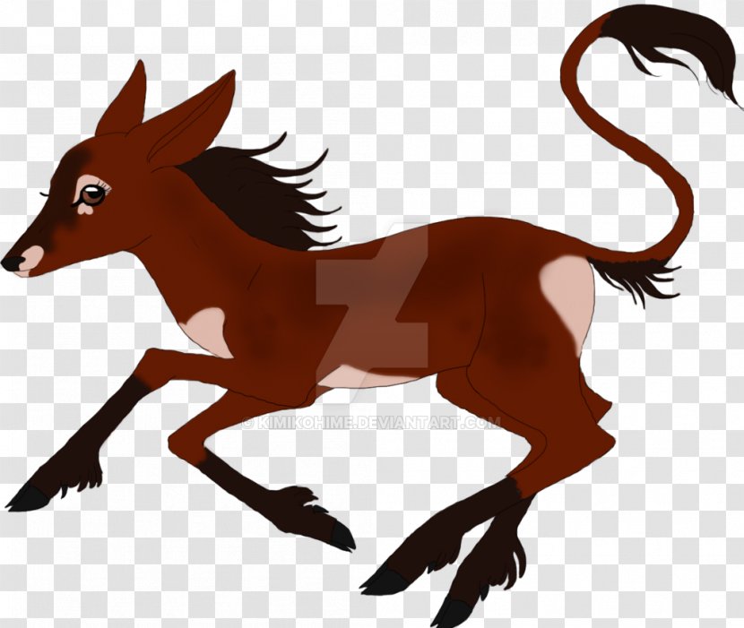 Mustang Colt Dog Pack Animal Canidae - Horse Transparent PNG