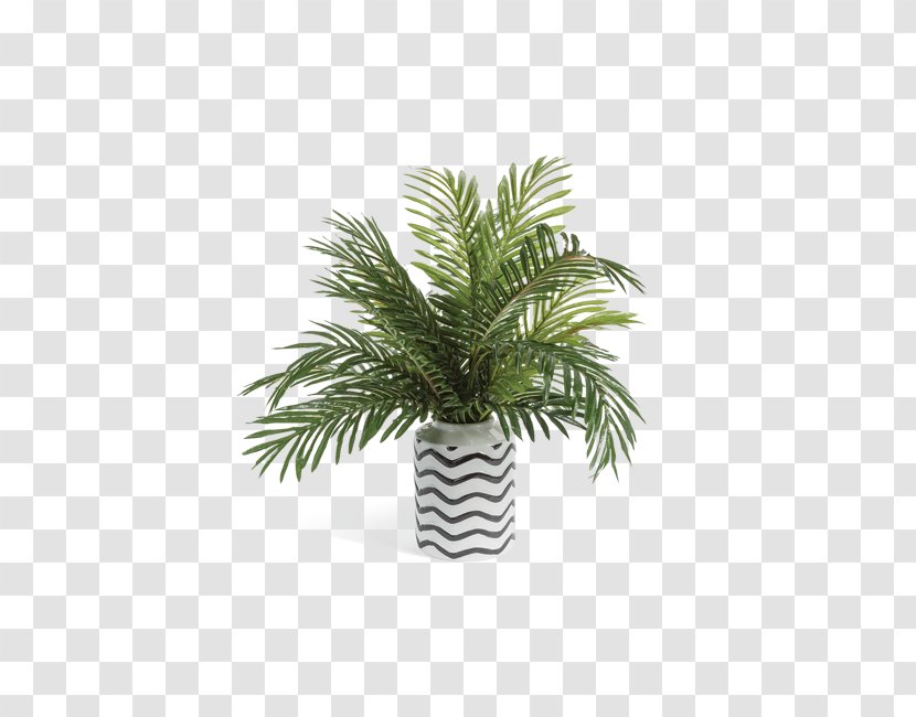 Date Palm Vase Arecaceae Flowerpot Houseplant - Discover Card Transparent PNG
