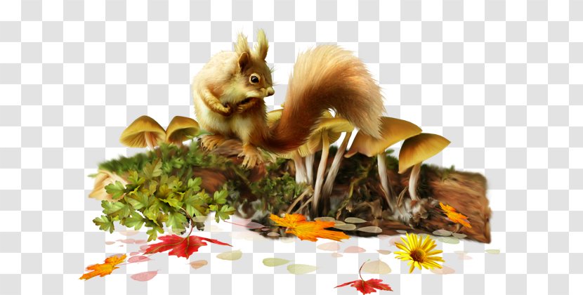 Clip Art - Tree Squirrel - Fauna Transparent PNG