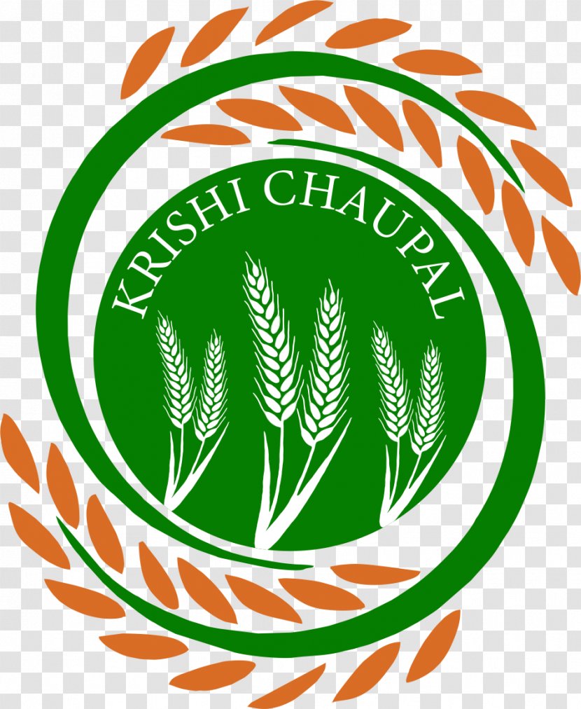 Agriculture Chaupal, Himachal Pradesh Farmer Rajasthan - Vegetable - Wheat Transparent PNG