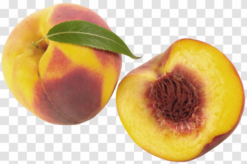 Nectarine Fruit Food Vegetable Apricot - Produce - Cutted Peaches Image Transparent PNG