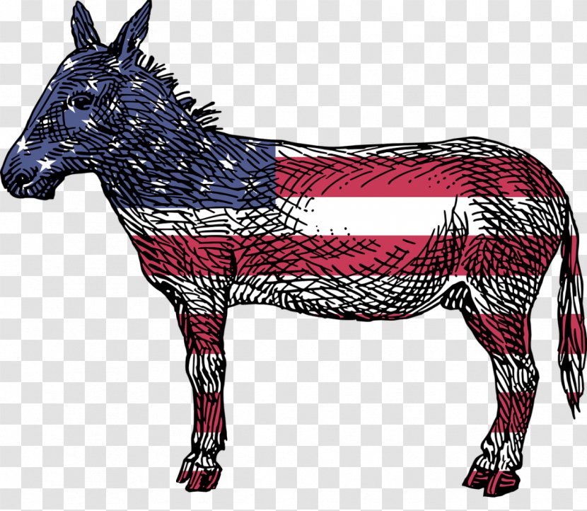 Reasons To Vote For Democrats: A Comprehensive Guide Republicans: Captivating Interpretation United States Democratic Party The Daily Wire Transparent PNG