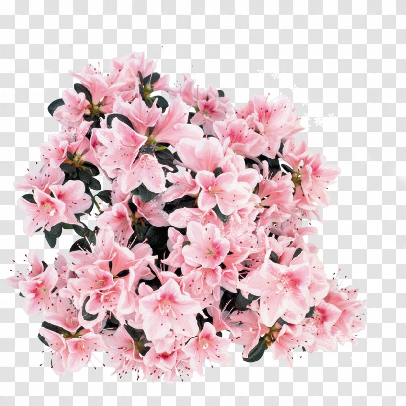 Art - Flower Arranging - Pink Wedding Decoration Transparent PNG