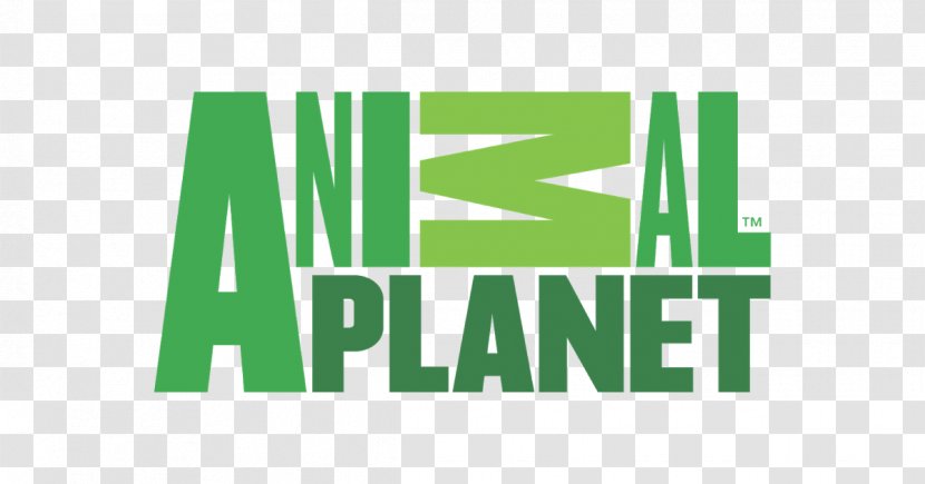 Animal Planet Logo Television Channel Show - Text - Express Transparent PNG
