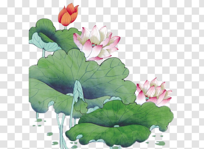 Static Variable Clip Art - Lotus Family - Hand-painted Watercolor Pond Transparent PNG