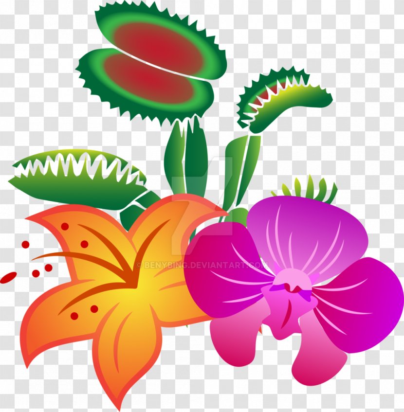 Venus Flytrap Carnivorous Plant Clip Art Plants Image - Trichome Transparent PNG