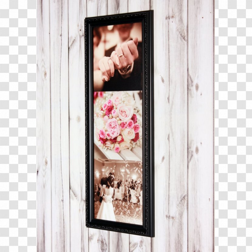 Window Picture Frames - Hanging Polaroid Transparent PNG
