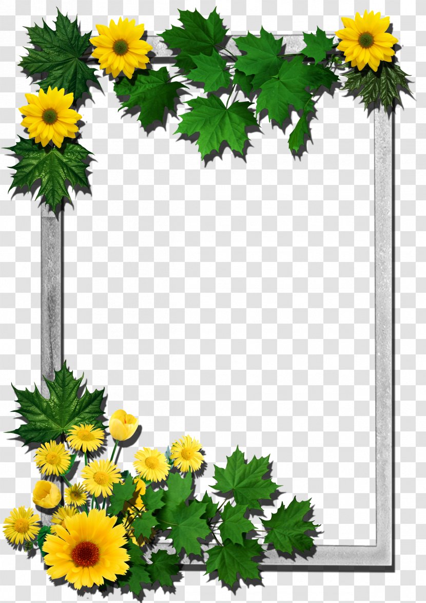 Picture Frames Flower Clip Art - Cut Flowers - Frame Transparent PNG