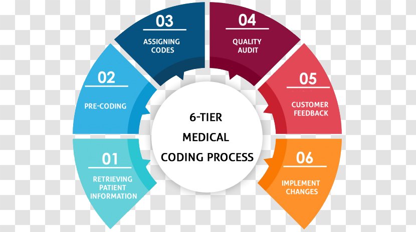 Agriculture REMAX Jumbo Organization RE/MAX, LLC Coign Edu & It Services Pvt Ltd - Tarnaka - Medication Compliance Documentation Transparent PNG