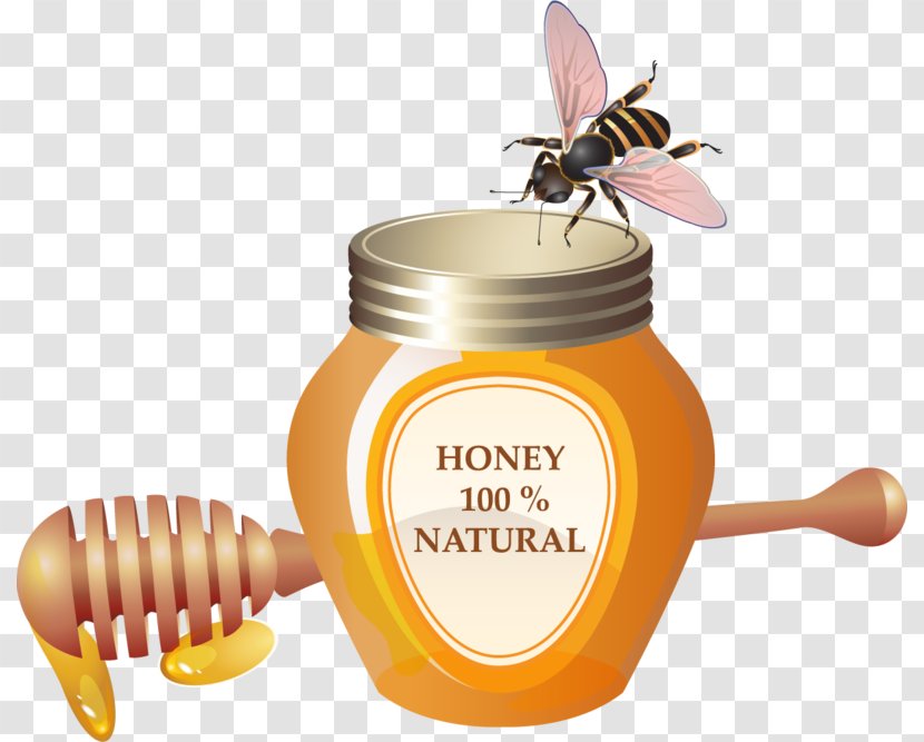 Bee Vector Graphics Image Clip Art Honey - Sweetsop Custard Transparent PNG