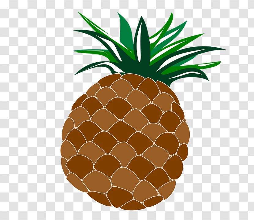 Pineapple - Plant - Tree Food Transparent PNG