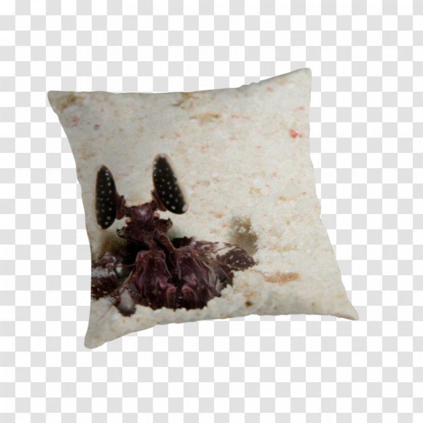 Throw Pillows Cushion - Pillow - Mantis Shrimp Transparent PNG