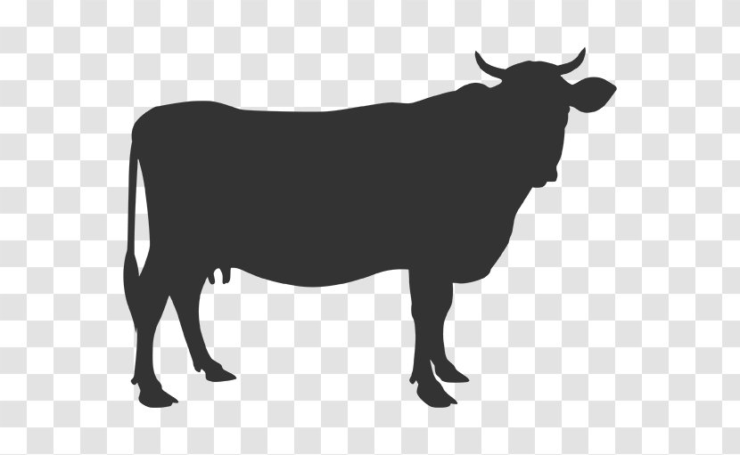 Angus Cattle Baka Drawing Silhouette Transparent PNG