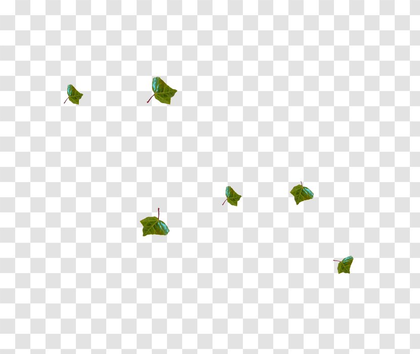 Green Leaf Petal Google Images - Grass - Falling Leaves Transparent PNG