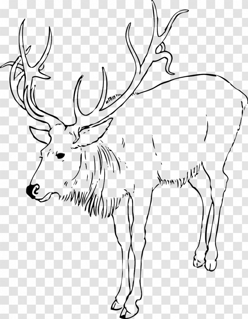 Reindeer Rudolph Clip Art - Drawing Transparent PNG