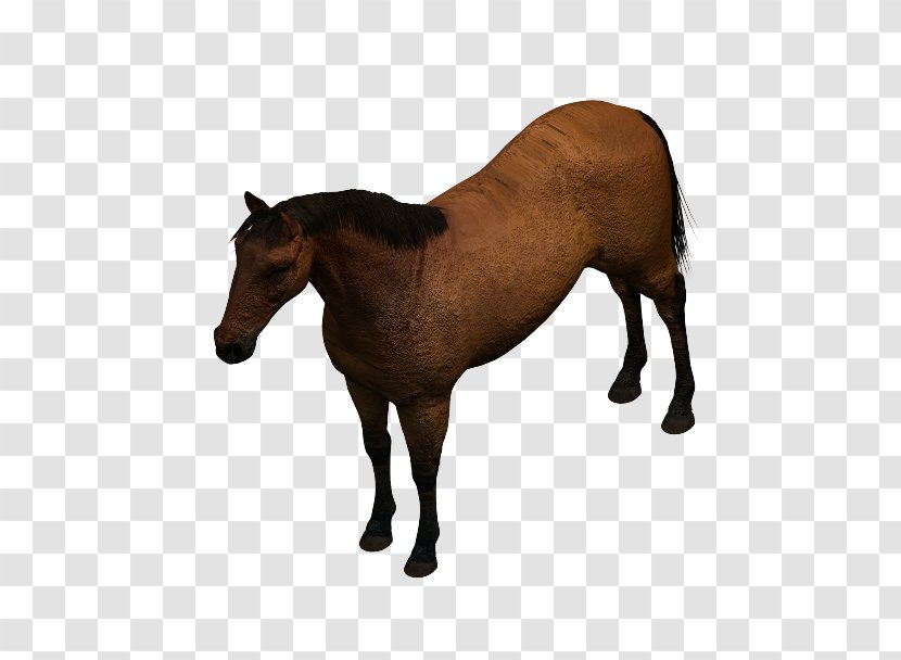 Mustang Mare Foal Pony Stallion - Computeraided Design - 3d Mechanical Horses Transparent PNG