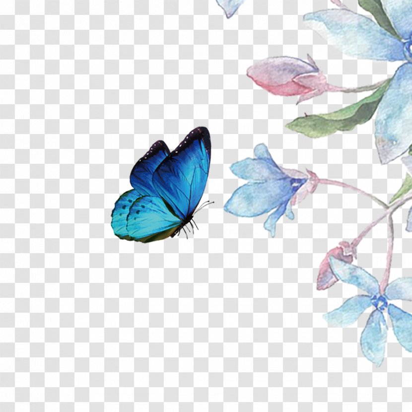 Butterfly Download Computer File - Insect - Beautiful Flowers Transparent PNG