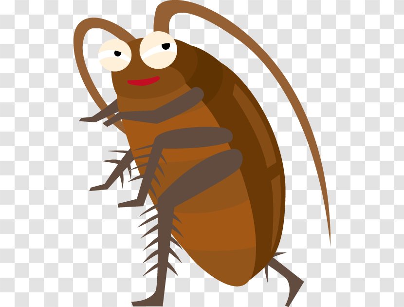 Cockroach Blattodea Ryusei Sakuta ドゥ・ヘアドレッサーズ Kamen Rider Meteor - Honey Bee Transparent PNG