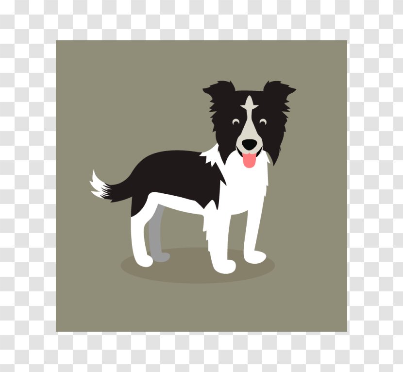 Dog Breed Border Collie Puppy Poodle Rough Transparent PNG