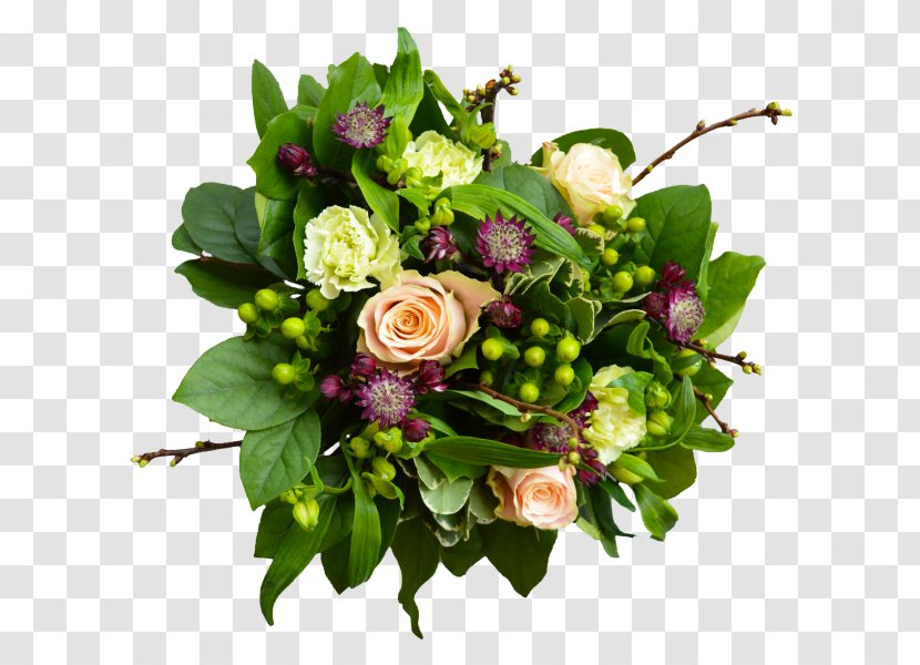 Floral Design Cut Flowers Flower Bouquet Great Masterwort - Plant Transparent PNG