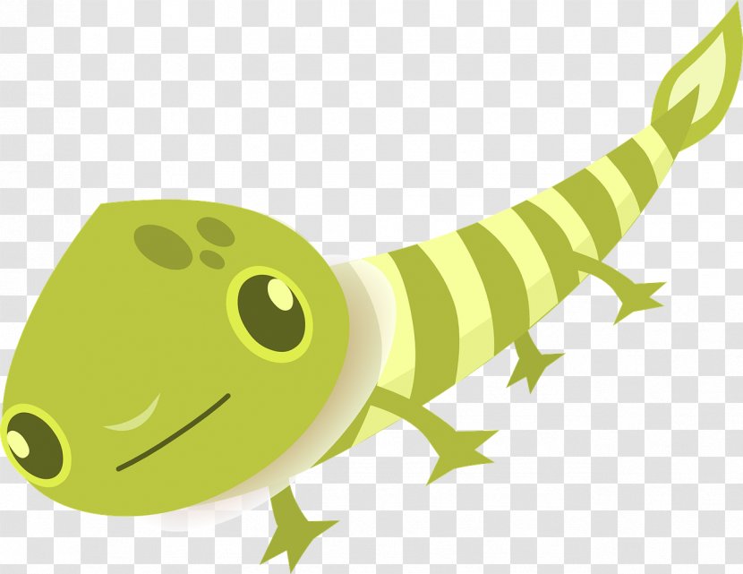 Reptile Insect Green - Crawling Transparent PNG
