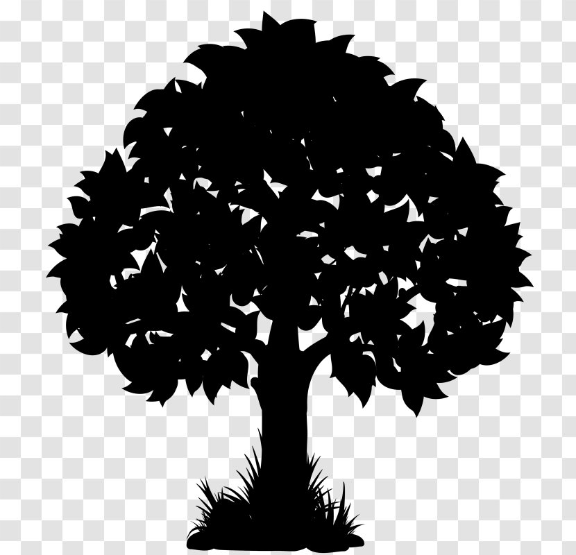 Vector Graphics Clip Art Silhouette Oak Illustration - Woody Plant - Drawing Transparent PNG
