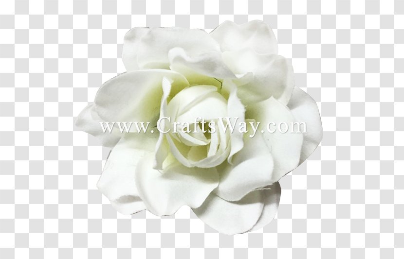 Wedding Flower Background - Garden Roses - Camellia Peony Transparent PNG