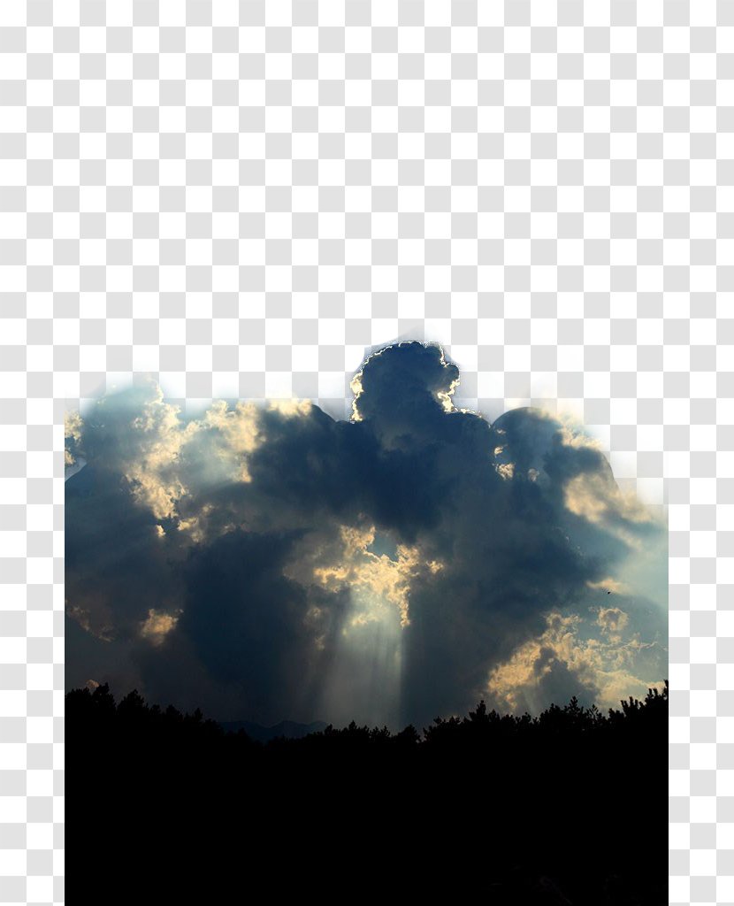 Black Clouds - Tree - Daytime Transparent PNG