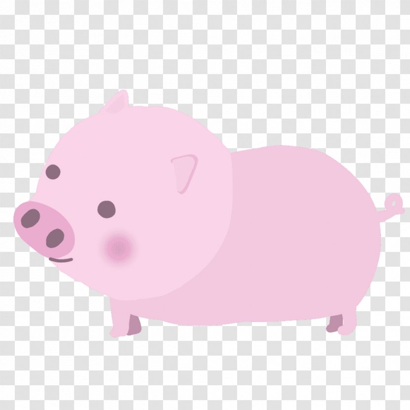 Pig Pink M Snout - Like Mammal Transparent PNG