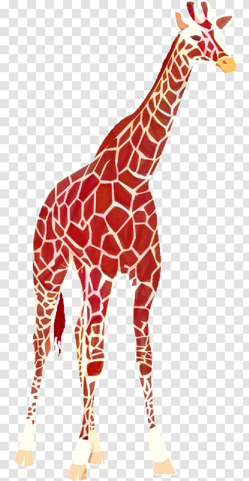 Giraffe Cartoon - West African - Tail Fawn Transparent PNG