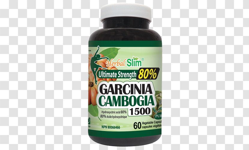 Garcinia Cambogia Dietary Supplement Health Hydroxycitric Acid Appetite - Flavor Transparent PNG