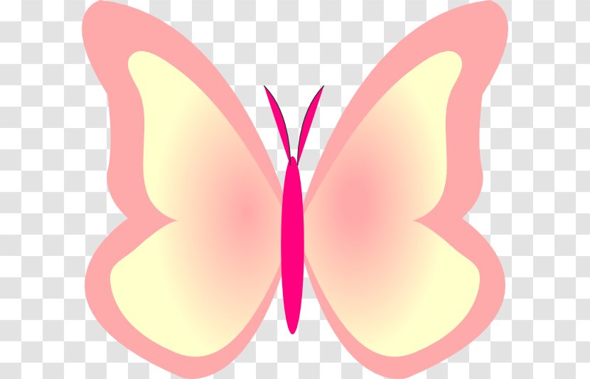 Butterfly Insect Pollinator Clip Art - Arthropod - Bright Transparent PNG