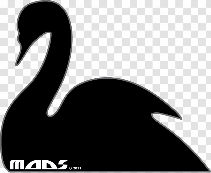 Goose Duck Black Swan Water Bird - Waterfowl Transparent PNG