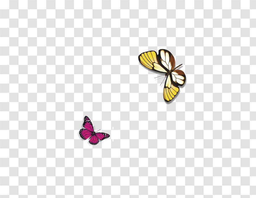 Butterfly Desktop Wallpaper Transparent PNG