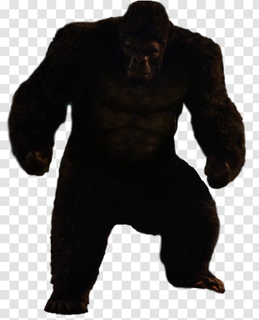 Gorilla Grodd Trickster Ape King Kong - Vertebrate Transparent PNG