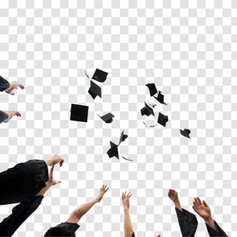 Graduation Ceremony Square Academic Cap Tassel Hat - Party - Toss Transparent PNG