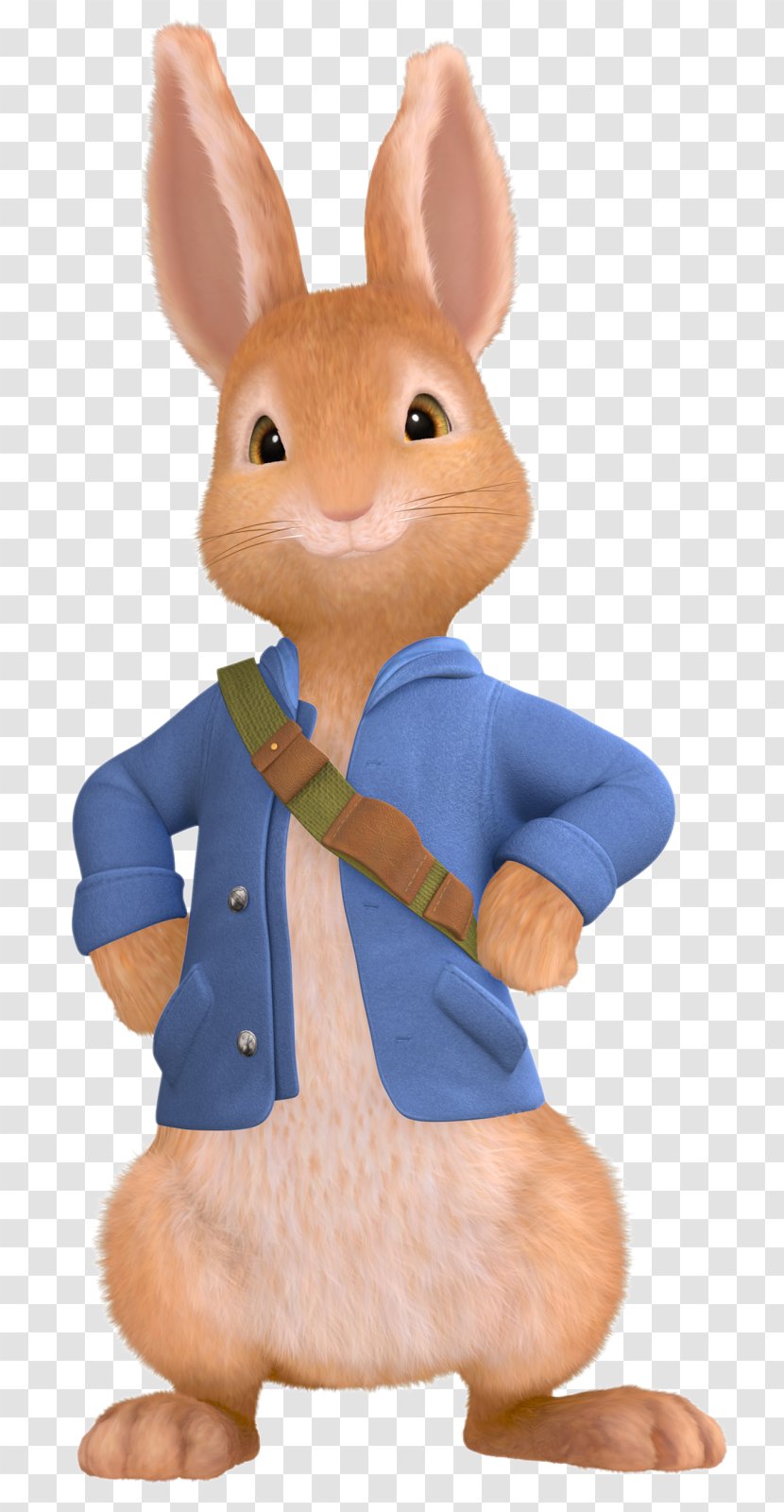 The Tale Of Peter Rabbit Mrs. - Hand Transparent PNG
