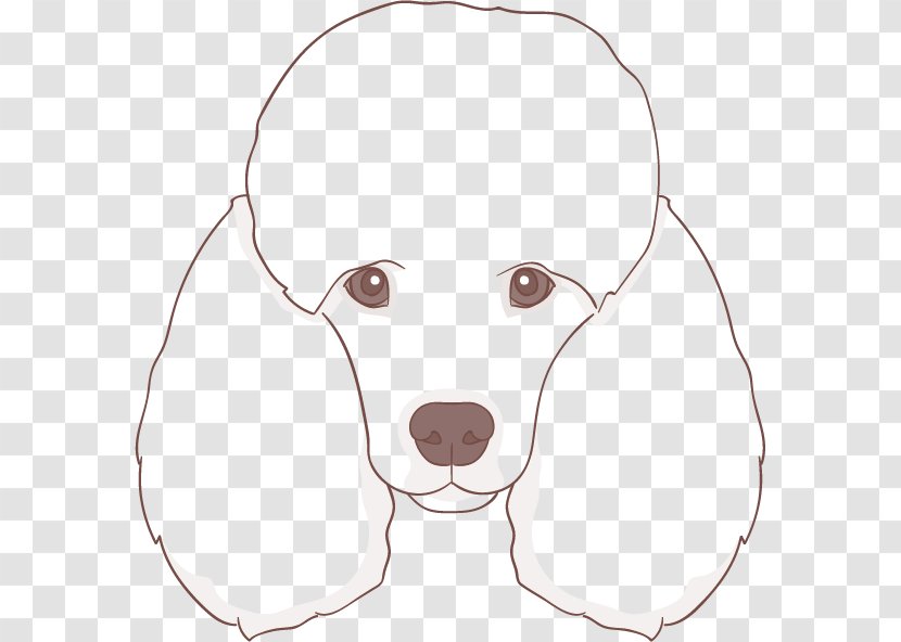 Dog Breed - Flower - Puppy Pattern Transparent PNG