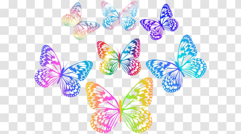 Desktop Wallpaper Clip Art - Moths And Butterflies - Butterfly Transparent PNG