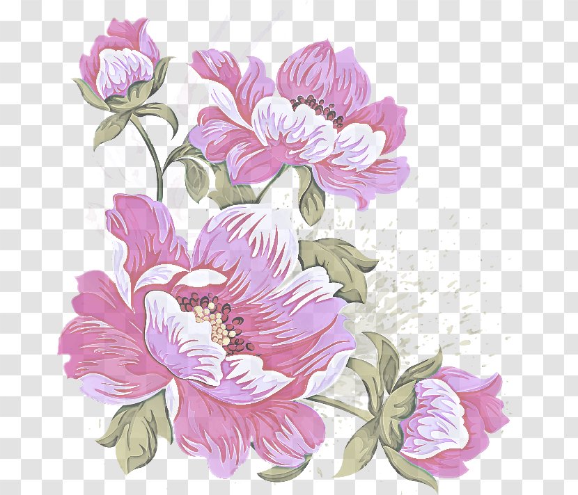 Flower Flowering Plant Petal Pink - Prickly Rose - Peony Transparent PNG