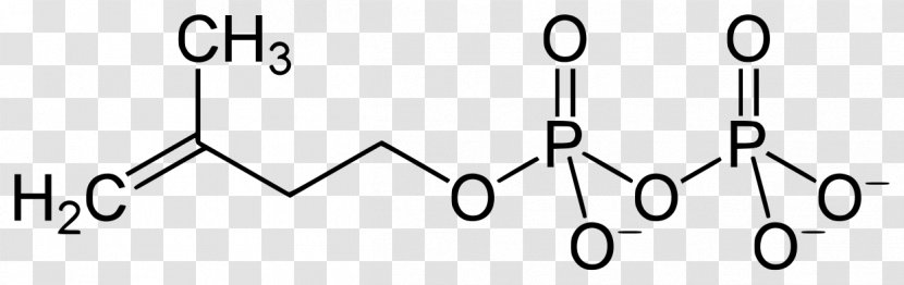Isopentenyl Pyrophosphate Biology Dimethylallyl Science Research - Text Transparent PNG