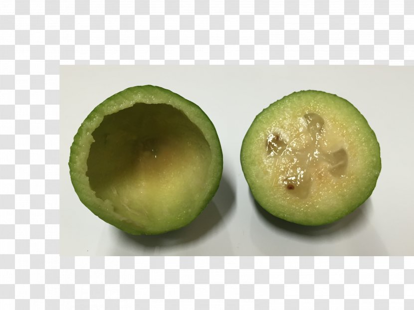 Kiwifruit Superfood - Feijoa Transparent PNG