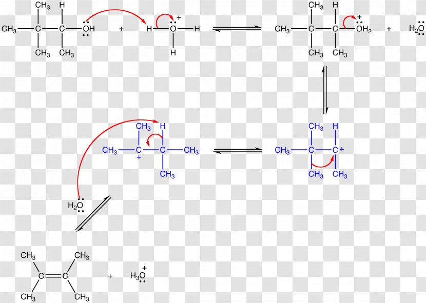 Wagner–Meerwein Rearrangement Reaction Chemical Meerwein Arylation Reagent - Elimination - Area Transparent PNG