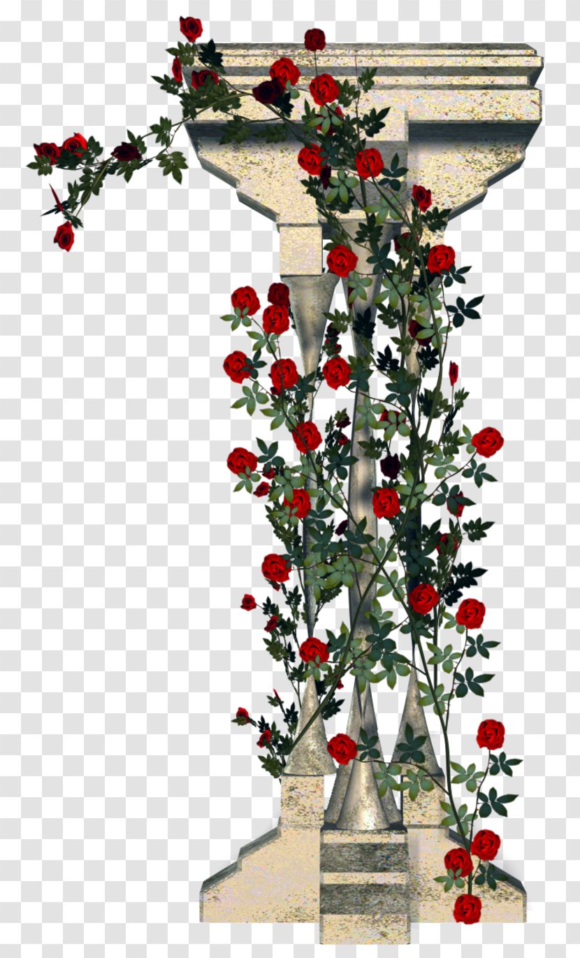 Garden Roses Column Flower Architecture - Holly Transparent PNG
