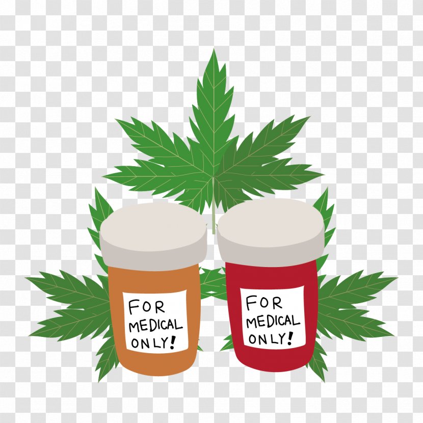 Medical Cannabis Hemp Kitazawa Herbalism - Fairy Transparent PNG