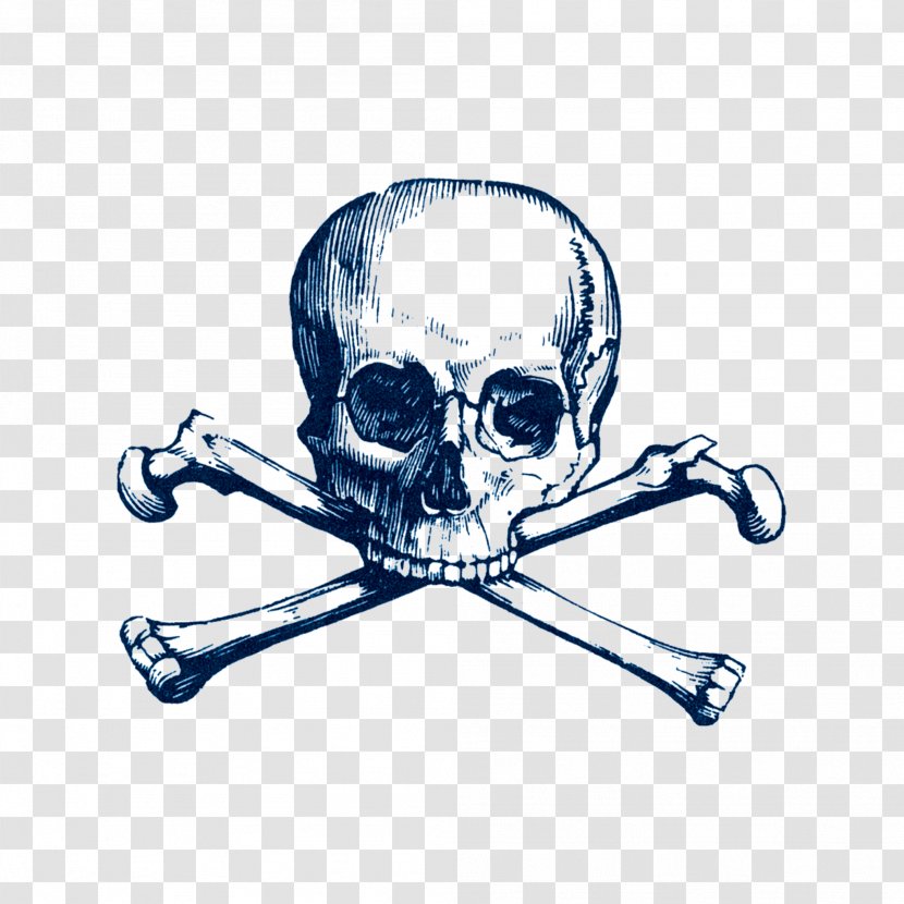Skull And Crossbones Bones Society Piracy Art Transparent PNG