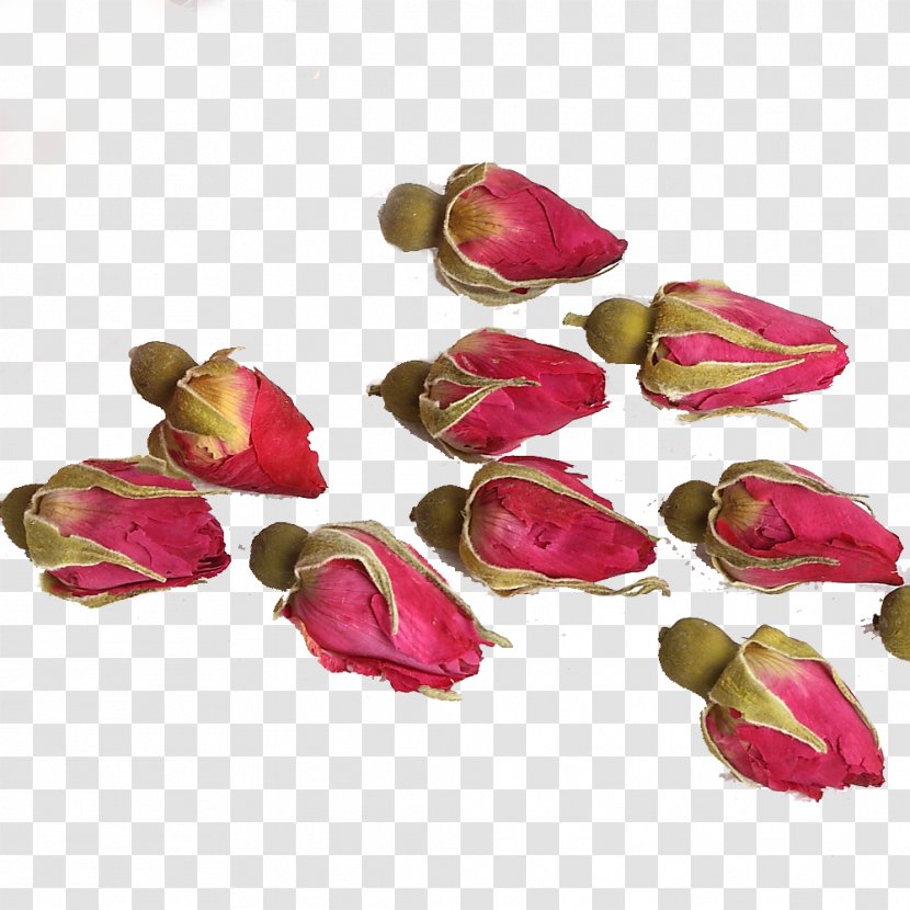 Flowering Tea Beach Rose Pingyin County Rosa Chinensis - Herbal Transparent PNG