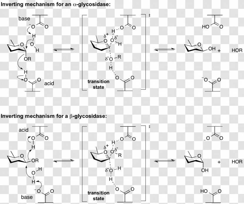 Homogeneous Catalysis Acid Enzyme Document - Frame - Heart Transparent PNG